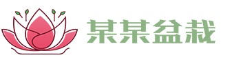 JAV